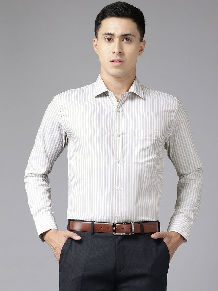 Park Avenue Slim Fit Striped Formal Shirt