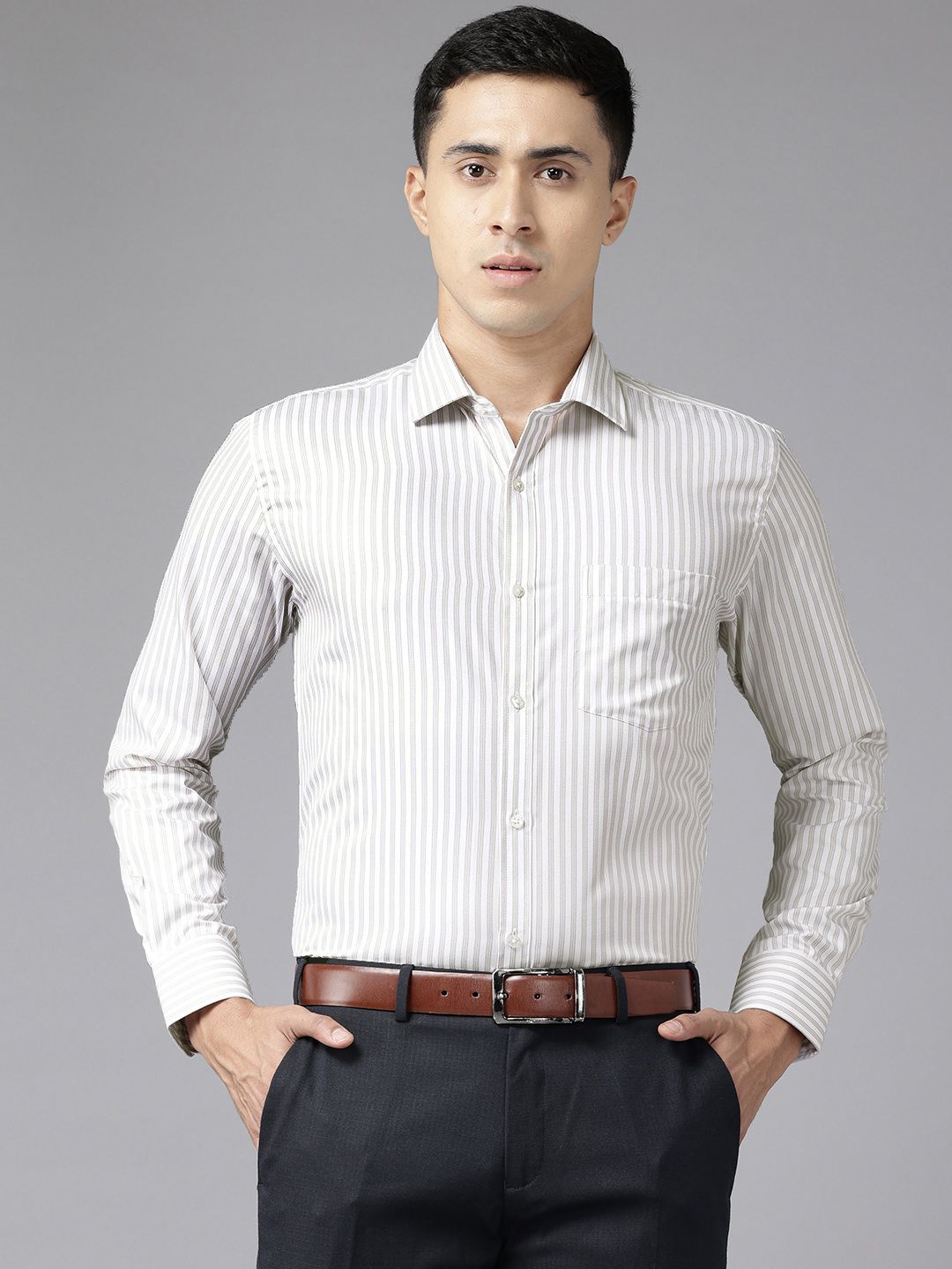 Park Avenue Slim Fit Striped Formal Shirt