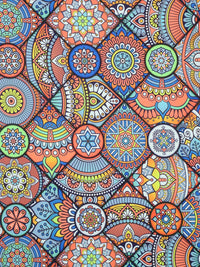 Cortina Multicoloured Single Printed Door Curtain