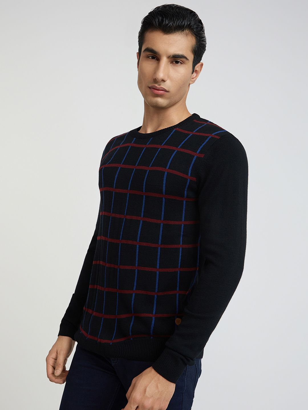 Raymond Men Black & Blue Checked Pullover
