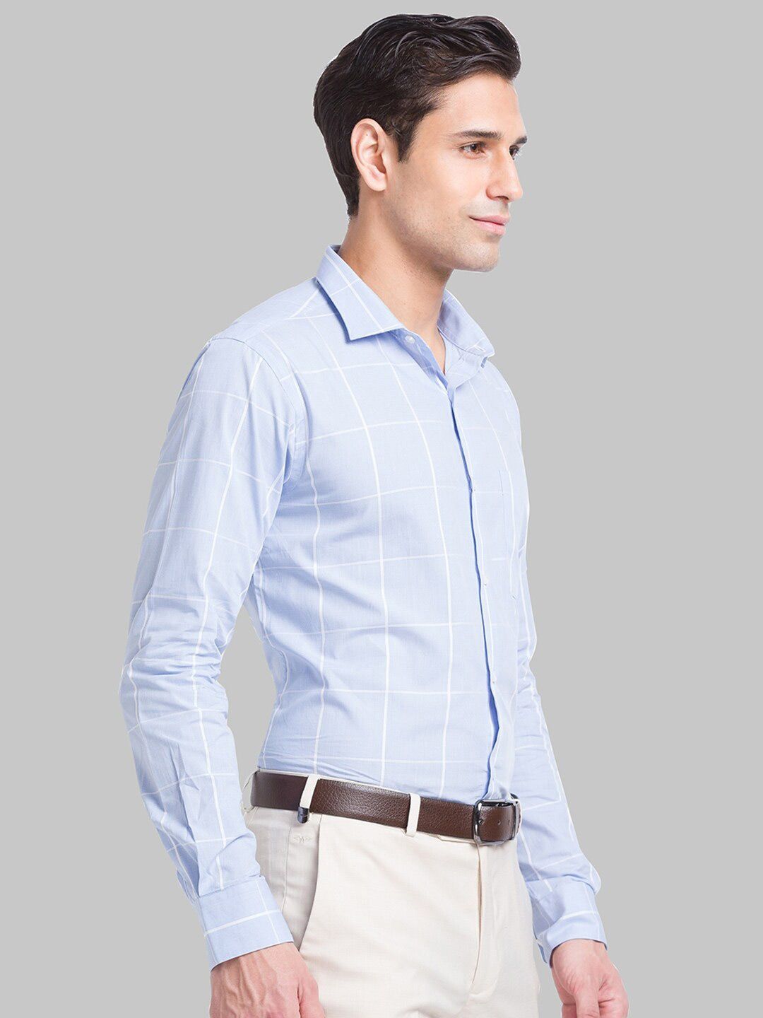 Park Avenue Slim Fit Windowpane Checked Organic Cotton Formal Shirt