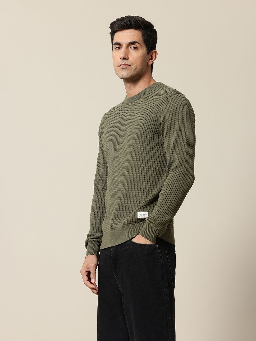 Mr Bowerbird Pure Cotton Self-Design Pullover Sweater