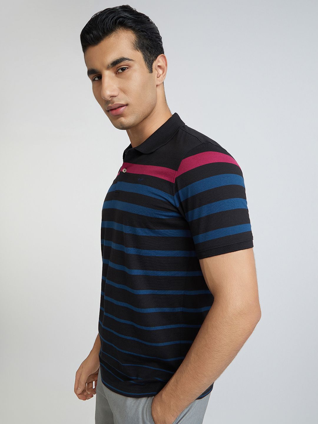 Park Avenue Striped Polo Collar Slim Fit T-shirt