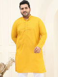 SOJANYA PLUS Floral Embroidered Mandarin Collar Pure Cotton Straight Kurta