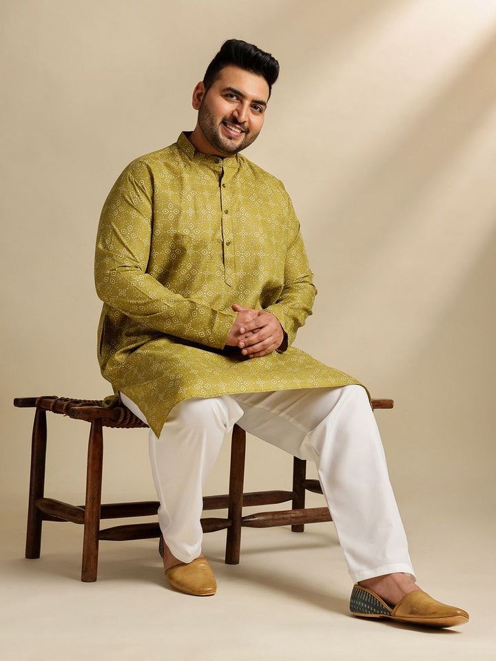 SOJANYA PLUS Ethnic Motifs Printed Mandarin Collar Straight Cotton Linen Kurta