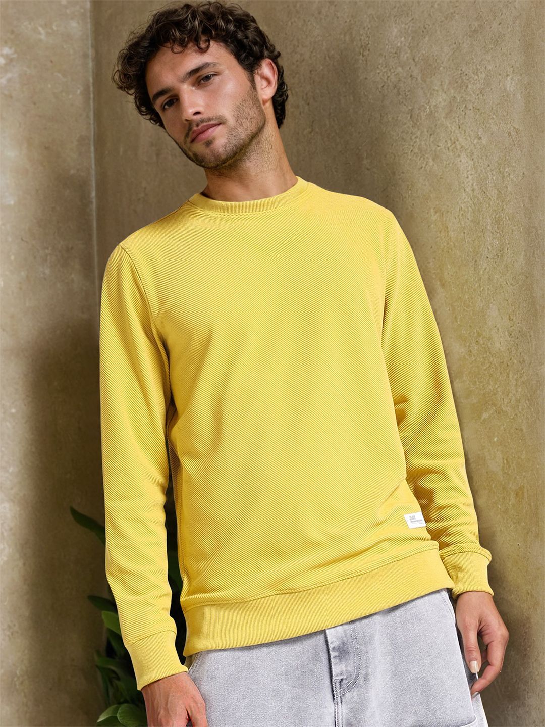 The Indian Garage Co Self Design Textured Long Sleeve Pullover Sweatshirt