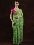 Exotic India Summer Green Leharia Tie-Dye Chiffon Saree