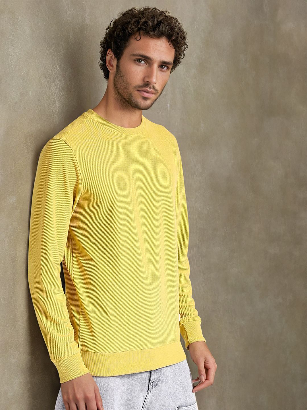 The Indian Garage Co Self Design Textured Long Sleeve Pullover Sweatshirt