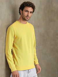 The Indian Garage Co Self Design Textured Long Sleeve Pullover Sweatshirt