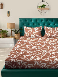 Aura Brown Floral Cotton 300 TC King Fine Bedsheet with 2 Pillow Covers-98 x 89 inches