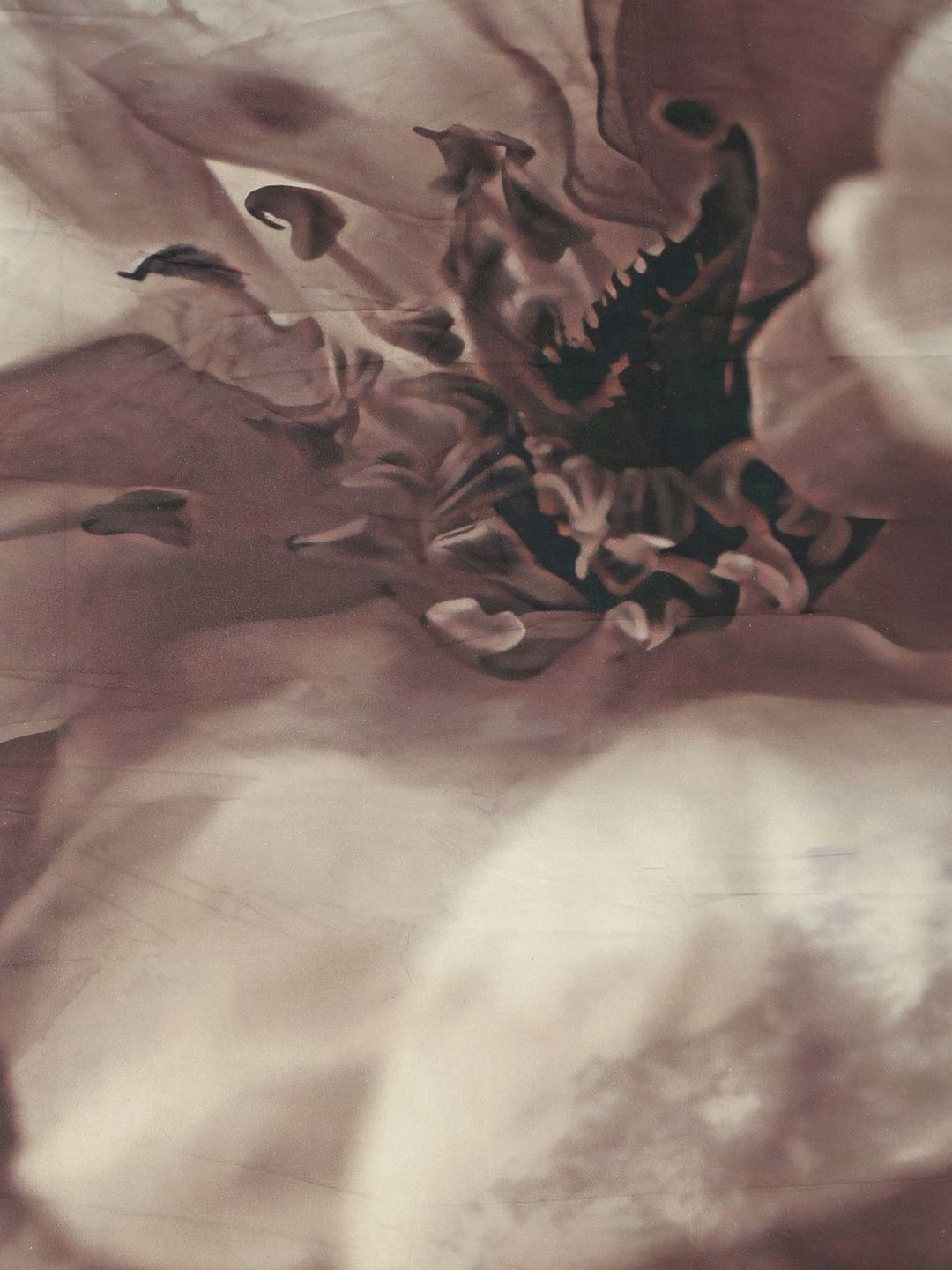 KLOTTHE Brown Floral Printed 400TC Double King 7D Bedsheet With 2 Pillow Cover-250X225 cm