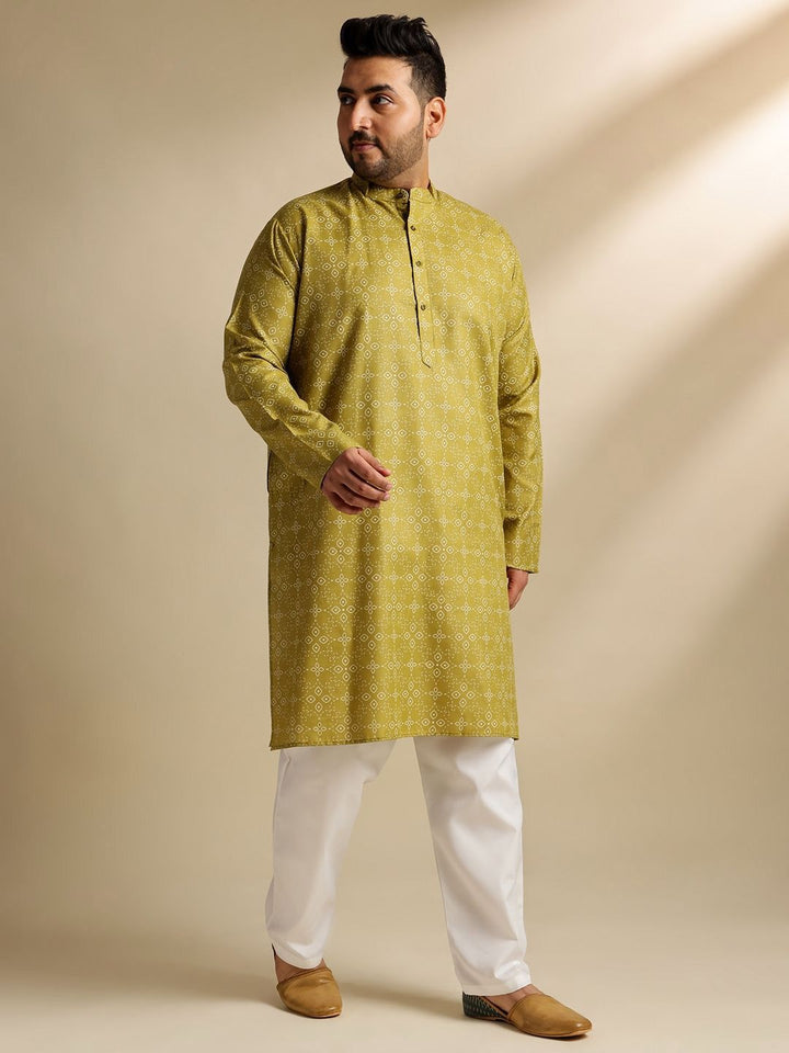 SOJANYA PLUS Ethnic Motifs Printed Mandarin Collar Straight Cotton Linen Kurta
