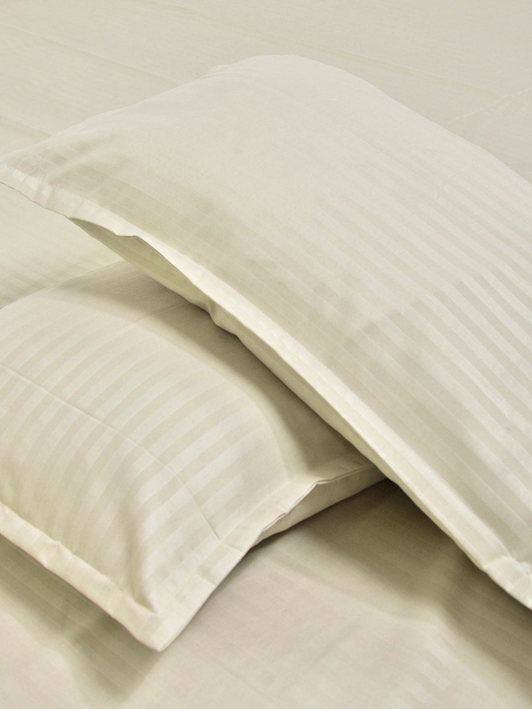 KLOTTHE Warna Krim Belang 300TC Double King Halus Cadar Dengan 2 Sarung Bantal