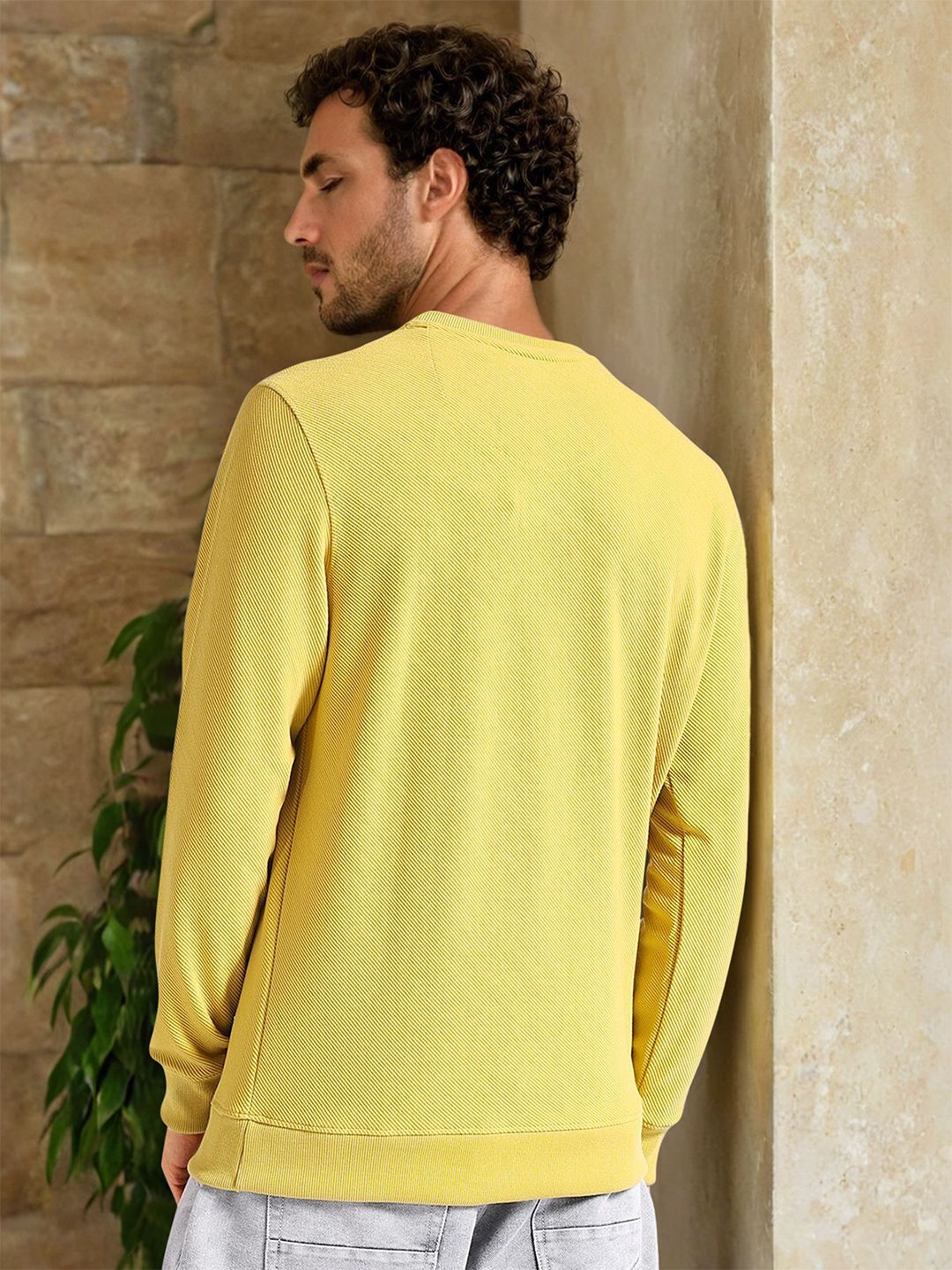 The Indian Garage Co Self Design Textured Long Sleeve Pullover Sweatshirt