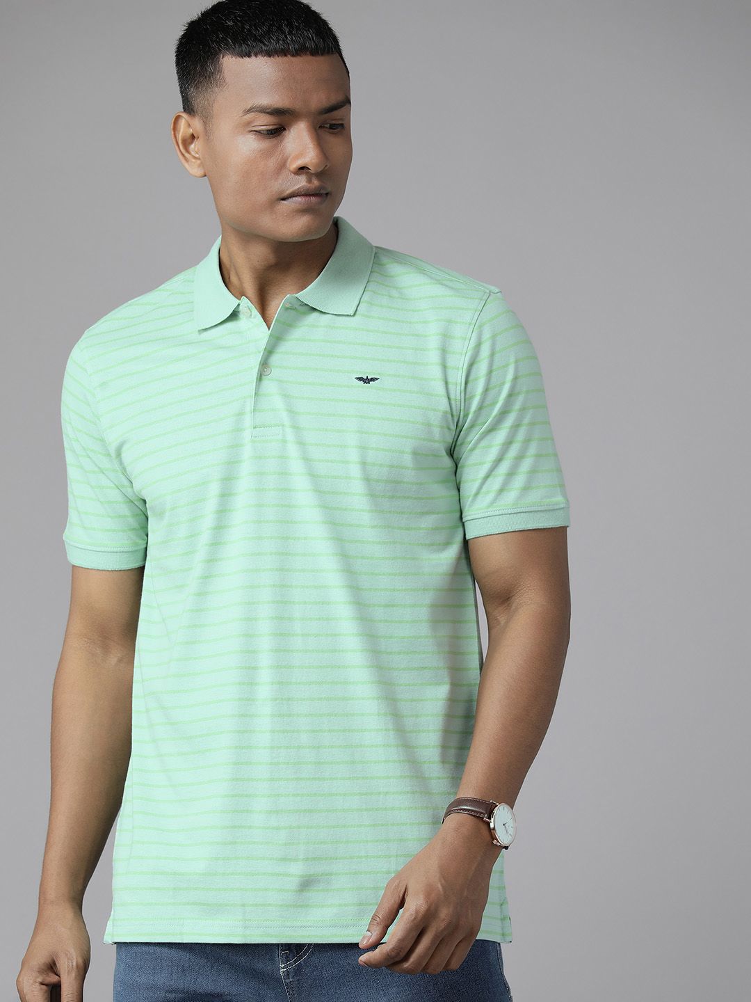 Park Avenue Men Striped Polo Collar Slim Fit T-shirt