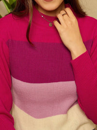 Berrylush Women High Neck Colourblocked Pullover