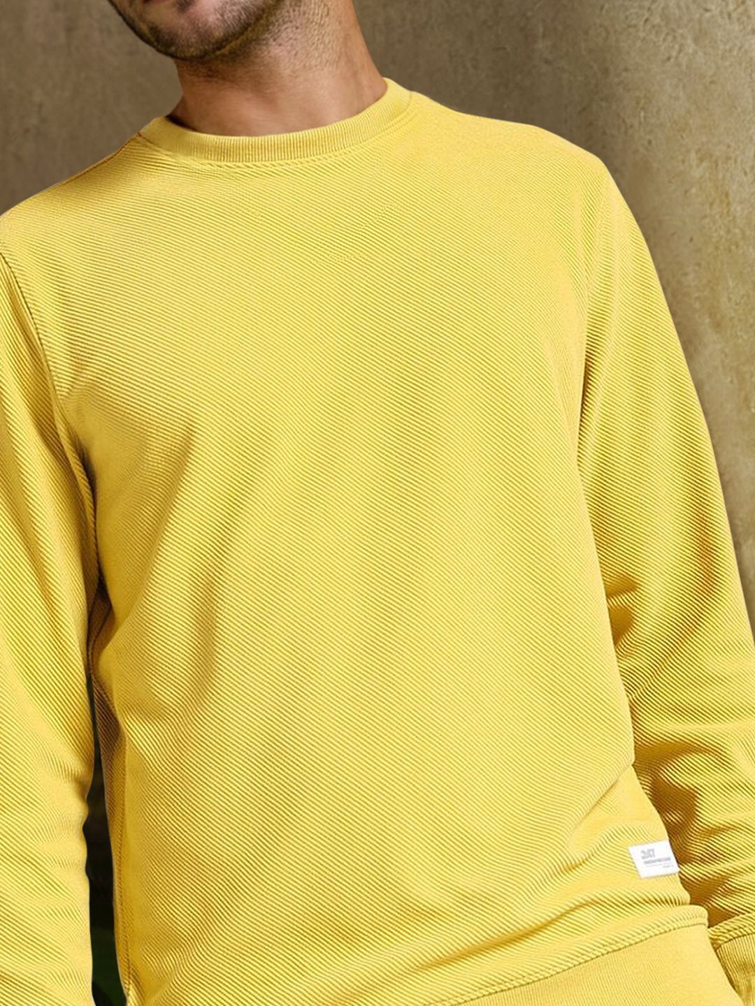 The Indian Garage Co Self Design Textured Long Sleeve Pullover Sweatshirt