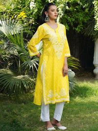 House of Chikankari Women Printed Cotton Chikankari Kurta