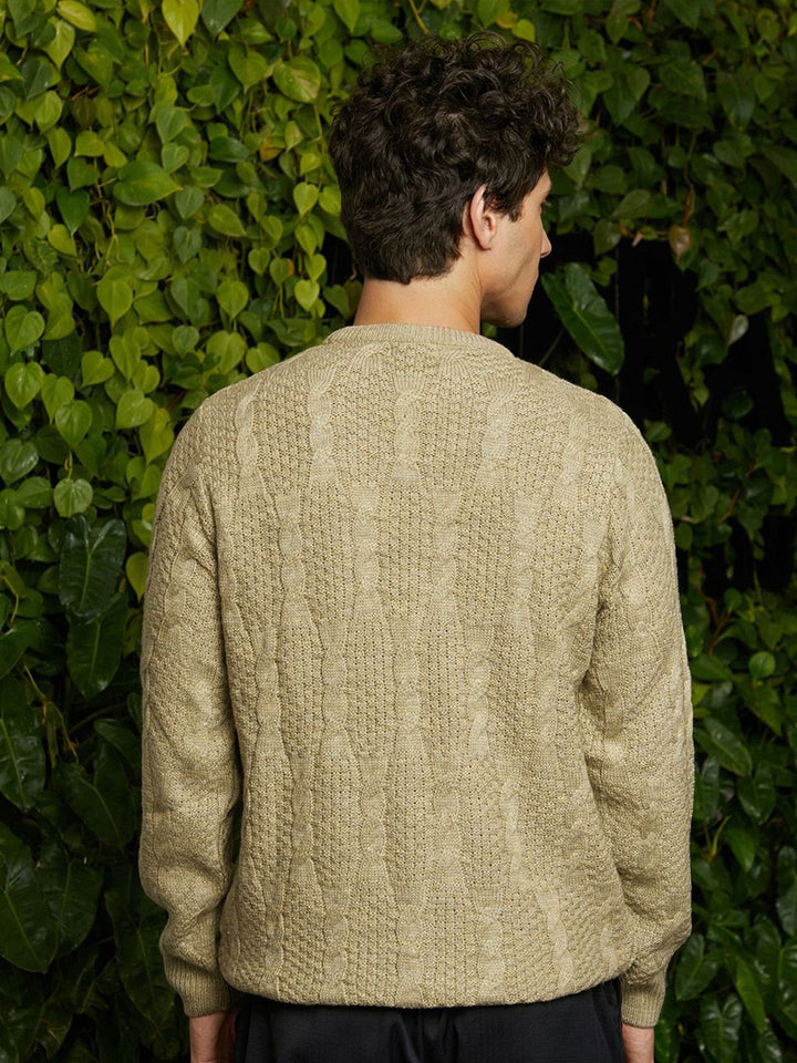 Campus Sutra Men Round Neck Pullover Sweaters