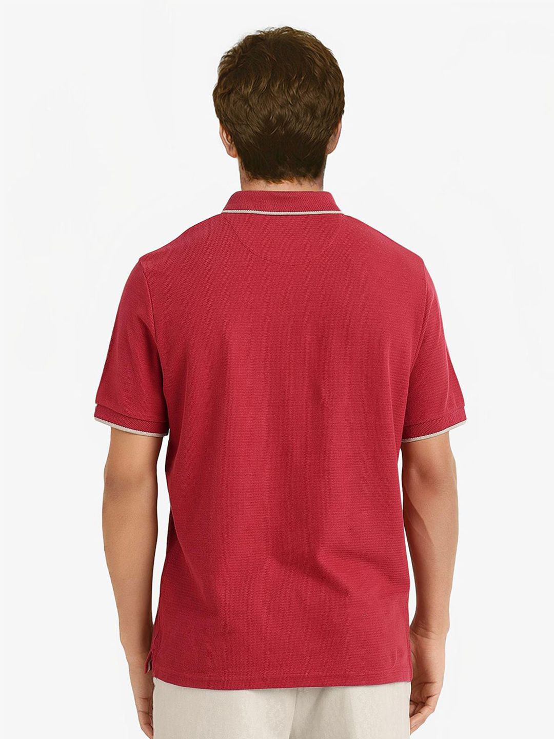 RARE RABBIT Men Solid Pure Cotton Polo Collar T-shirt