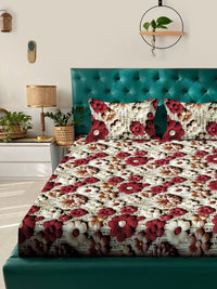 Myntra Elegant Cream Floral Printed Dilengkapi 300 TC King 7D Cadar & 2 Sarung Bantal